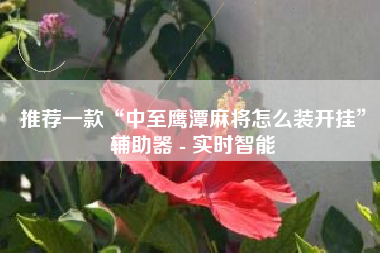 推荐一款“中至鹰潭麻将怎么装开挂	”辅助器 - 实时智能