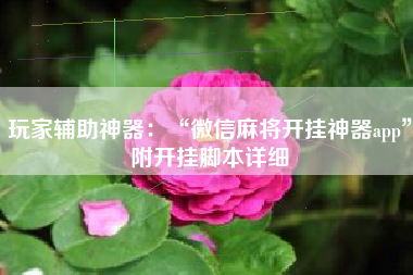 玩家辅助神器：“微信麻将开挂神器app”附开挂脚本详细