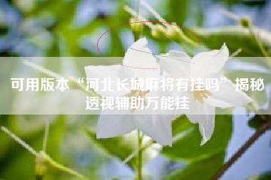 可用版本“河北长城麻将有挂吗	”揭秘透视辅助万能挂