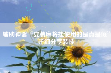 辅助神器“安装麻将挂使用的是真是假	”详细分享装挂
