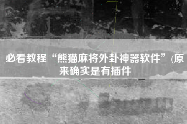 必看教程“熊猫麻将外卦神器软件”(原来确实是有插件