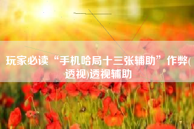 玩家必读“手机哈局十三张辅助”作弊(透视)透视辅助