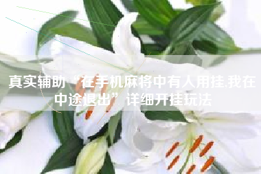 真实辅助“在手机麻将中有人用挂,我在中途退出	”详细开挂玩法