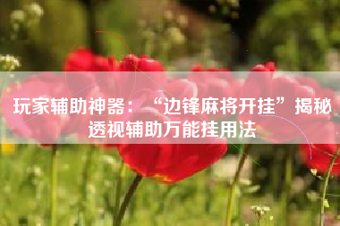 玩家辅助神器：“边锋麻将开挂”揭秘透视辅助万能挂用法