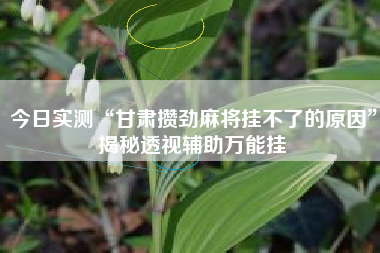 今日实测“甘肃攒劲麻将挂不了的原因	”揭秘透视辅助万能挂