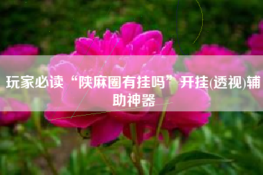 玩家必读“陕麻圈有挂吗”开挂(透视)辅助神器