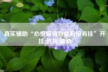 真实辅助“心悦麻将到底有没有挂	”开挂(透视)辅助