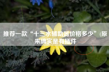 推荐一款“十三水辅助器价格多少”(原来确实是有插件
