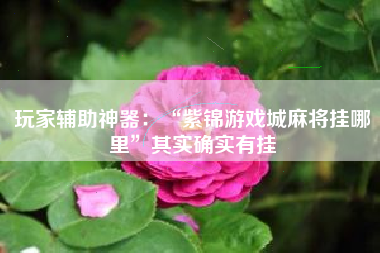 玩家辅助神器：“紫锦游戏城麻将挂哪里	”其实确实有挂