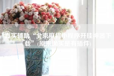 真实辅助“北京麻将小程序开挂神器下载	”(原来确实是有插件)