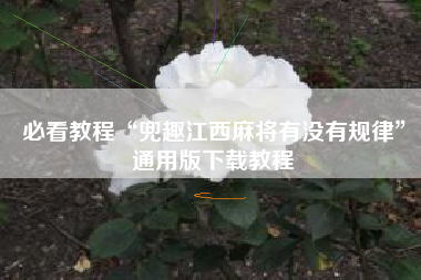 必看教程“兜趣江西麻将有没有规律	”通用版下载教程