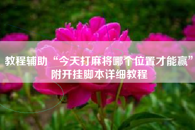 教程辅助“今天打麻将哪个位置才能赢”附开挂脚本详细教程