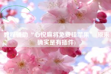 教程辅助“心悦麻将免费挂苹果	”(原来确实是有插件)