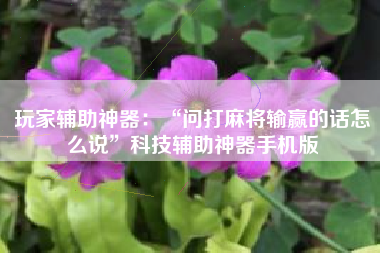 玩家辅助神器：“问打麻将输赢的话怎么说”科技辅助神器手机版