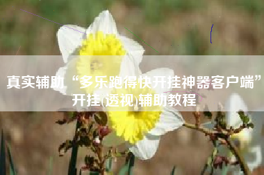 真实辅助“多乐跑得快开挂神器客户端”开挂(透视)辅助教程