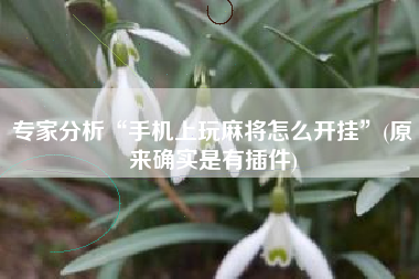 专家分析“手机上玩麻将怎么开挂”(原来确实是有插件)