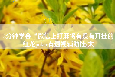 3分钟学会“微信上打麻将有没有开挂的红龙poker有透视辅助挂(太