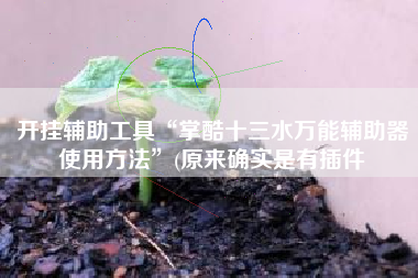 开挂辅助工具“掌酷十三水万能辅助器使用方法”(原来确实是有插件
