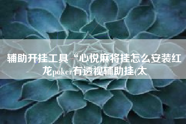 辅助开挂工具“心悦麻将挂怎么安装红龙poker有透视辅助挂(太