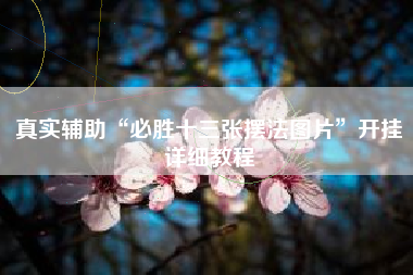 真实辅助“必胜十三张摆法图片	”开挂详细教程