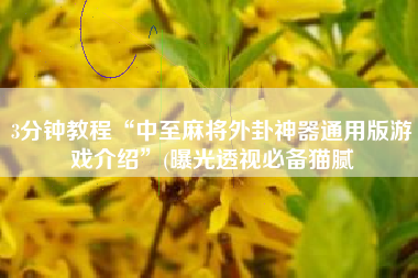 3分钟教程“中至麻将外卦神器通用版游戏介绍”(曝光透视必备猫腻