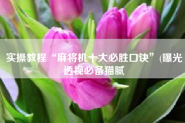 实操教程“麻将机十大必胜口诀”(曝光透视必备猫腻