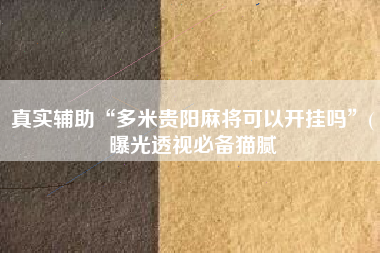 真实辅助“多米贵阳麻将可以开挂吗	”(曝光透视必备猫腻