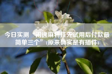 今日实测“闲逸麻将挂先试用后付款最简单三个	”(原来确实是有插件)