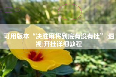 可用版本“决胜麻将到底有没有挂	”(透视)开挂详细教程