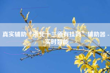 真实辅助“浙北十三道有挂吗	”辅助器 - 实时智能