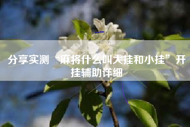 分享实测“麻将什么叫大挂和小挂”开挂辅助详细