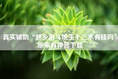 真实辅助“越乡游斗地主十三水有挂吗”原来有神器下载