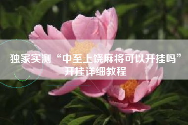 独家实测“中至上饶麻将可以开挂吗”开挂详细教程