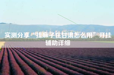 实测分享“挂麻子在甘肃怎么用	”开挂辅助详细