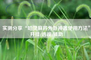 实测分享“哈灵麻将外卦神器使用方法	”开挂(透视)辅助