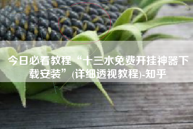 今日必看教程“十三水免费开挂神器下载安装”(详细透视教程)-知乎