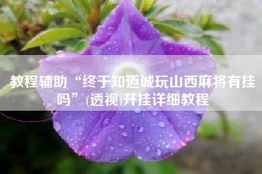 教程辅助“终于知道诚玩山西麻将有挂吗”(透视)开挂详细教程