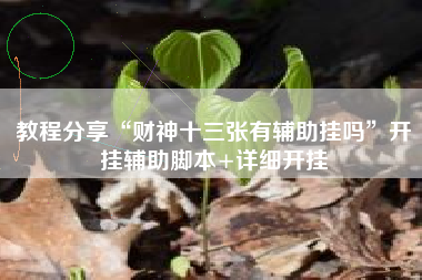 教程分享“财神十三张有辅助挂吗”开挂辅助脚本+详细开挂