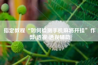 指定教程“如何检测手机麻将开挂	”作弊(透视)透视辅助