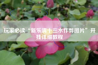 玩家必读“新乐清十三水作弊图片”开挂详细教程