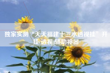 独家实测“天天福建十三水透视挂”开挂(透视)辅助神器