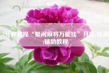 3分钟教程“聚闲麻将万能挂”开挂(透视)辅助教程