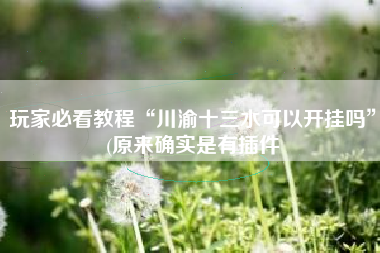 玩家必看教程“川渝十三水可以开挂吗”(原来确实是有插件