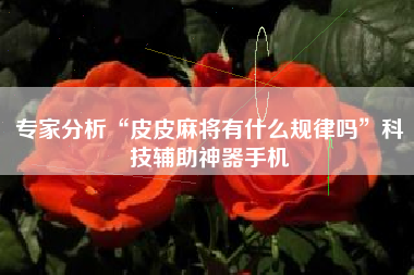 专家分析“皮皮麻将有什么规律吗	”科技辅助神器手机