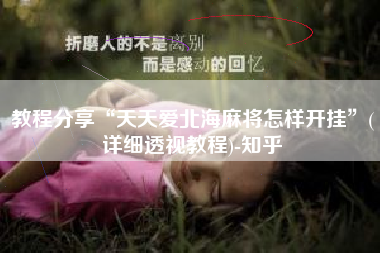 教程分享“天天爱北海麻将怎样开挂”(详细透视教程)-知乎