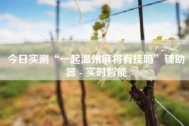 今日实测“一起温州麻将有挂吗”辅助器 - 实时智能