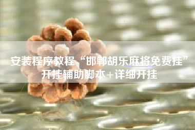 安装程序教程“邯郸胡乐麻将免费挂”开挂辅助脚本+详细开挂