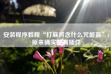 安装程序教程“打麻将念什么咒能赢	”(原来确实是有插件