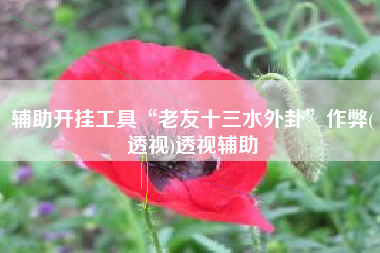 辅助开挂工具“老友十三水外卦”作弊(透视)透视辅助