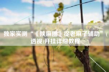 独家实测“《陕麻圈》捉老麻子辅助	”(透视)开挂详细教程